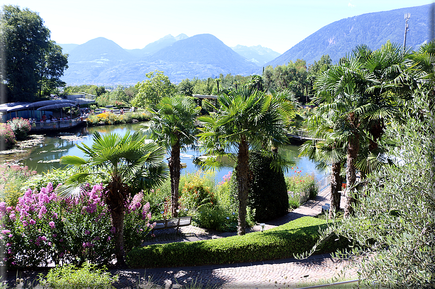 foto Giardini Trauttmansdorff - Giardini acquatici